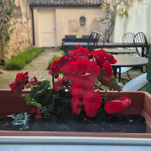 Bed and breakfast 19 Borgo Cavour, Treviso